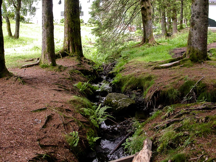 ZUM NORDKAP - BERGEN