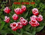 FROHE OSTERN 2011 FROHE OSTERN 2011