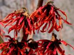 FEUER UND FLAMME FEUER UND FLAMME