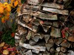 HERBSTLICHES AMBIENTE HERBSTLICHES AMBIENTE