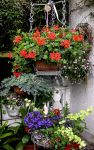 SOMMERANFANG SOMMERANFANG