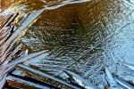 EISZEIT EISZEIT