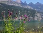 SCHWEIZ WALENSEE