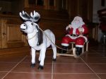 Nikolaus Nikolaus