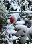 Winterzeit Winterzeit