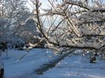 Schnee am Niederrhein