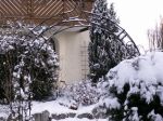 Mein Wintergarten..... Mein Wintergarten.....