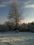 So viel Schnee .. So viel Schnee ..