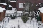 Mein Garten im Schnee