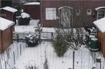 Mein Garten im Schnee Mein Garten im Schnee