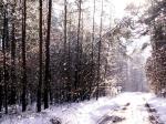 Winter in Franken! Winter in Franken!