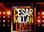 Bei Cesar Millan!!