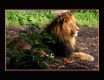 ZOO DUISBURG 15 ZOO DUISBURG 15