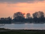 AM RHEIN AM RHEIN