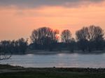 AM RHEIN