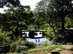 JAPAN - TOKIO - RIKUGI-EN JAPAN - TOKIO - RIKUGI-EN