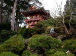 JAPANESE TEA GARDEN 26 JAPANESE TEA GARDEN 26