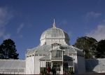 CONSERVATORY OF FLOWERS 1
